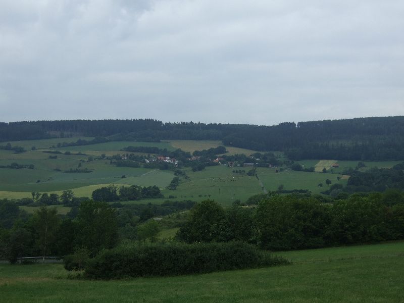 2011- 111.jpg